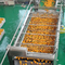 خط إنتاج عصير البرتقال الصناعي الصناعي